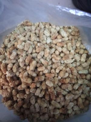 توت خشک در آبیک