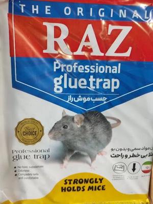 چسب موش کتابی در مشهد