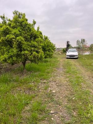 فروش باغچه ۲۰۰ متری شهرستان کیاکلا در بابل