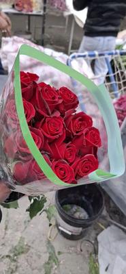 فروش عمده گل شاخه بریده بهترین قیمت در شهرری