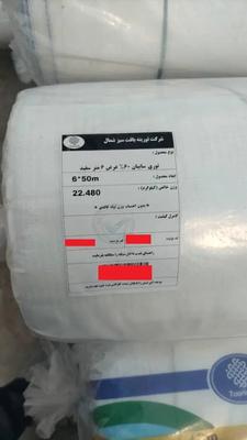 شید ، سایبان گلخانه ای در پاکدشت