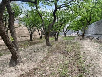 با ۳۰ گرم طلا زمین ۱۰۰ متری  ملارد ویلای جنوبی در ملارد