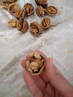 گردو تویسرکان در کرج