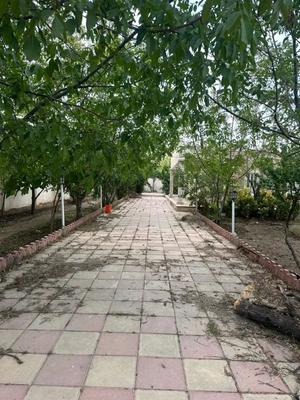 ۱۰۰۰متر ایران زمین در مهدشت