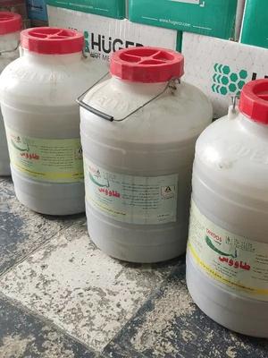 چسب سیلیکات در مشهد