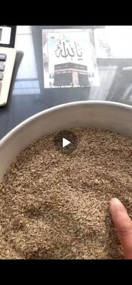 زیره سبز مرغوب سورت شده در اصفهان