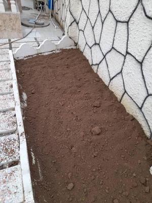 خاک پودری باغچه در لاهیجان