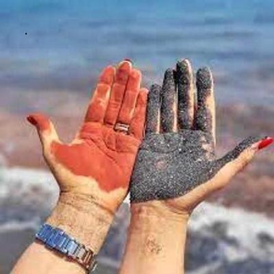 چارتری تور در مشهد