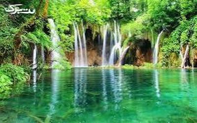 کمپ جنگلی در تهران