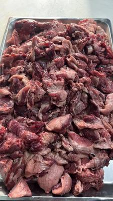 چرخ کرده رستورانی به قیمت عمده در تهران