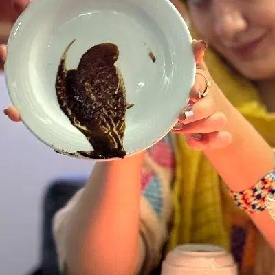 فال(چای.قهوه.تاروت) با موکل در اصفهان