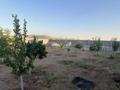 بورس زمینهای کشاورزی وباغ درجهاد اباد در شاهین‌شهر
