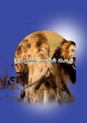 طراحی انواع پوستر، کارت ویزیت، بنر و تبلیغات محصول در تهران
