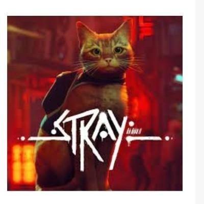 اکانت PS5 بازی Stray در بهبهان