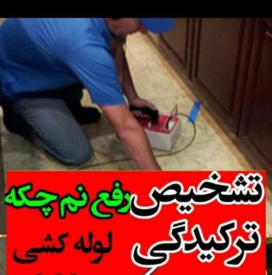 تعویض زانوفلاشتان زانورادیات گرمایش نشتی رفع نم در بجنورد