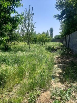 کمالشهر شهرک الهیه ۱۱۵۰ متر زمین در کرج