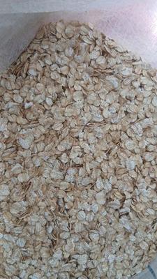 جوپرک  نوزده  نهصد  پنجاه و  چهار شصت و نه سی و در خاوران