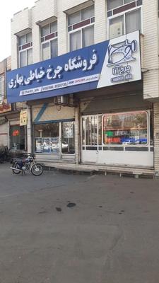 بطر آسیابی شونه ای در قم