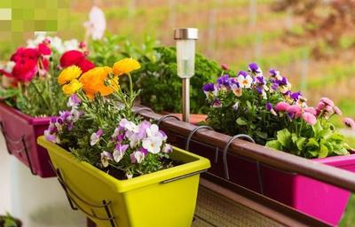 خاک هوشمند مناسب برای همه گیاهان در اصفهان