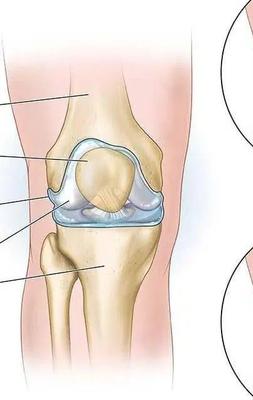بهبودی رگگیری و انجام حجامت و فصد ط سنتی و هندی در مشهد