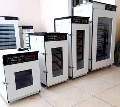 دستگاه جوجه کشی هدایت در یاسوج