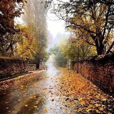 فروش باغ قدیمی در عالی چنار فشند در کوهرنگ