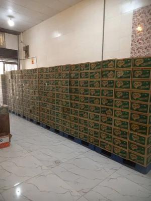 کیک بیسکویت ویفر کروسان قیمت کارخانه در کرمانشاه