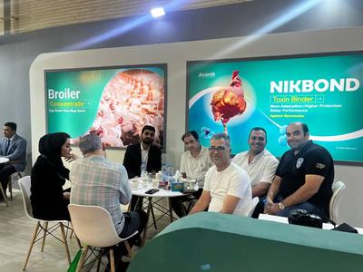 مرغ تخمگذار گوشتی در تهران