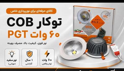 قاب 60وات توکار pGt در تهران