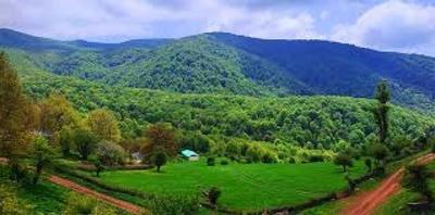 سفر به دشت بابونه های وحشی در تهران