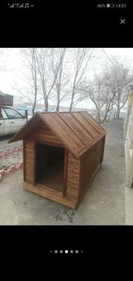 حراج آخر ماه، کلبه سگ، لانه در تبریز