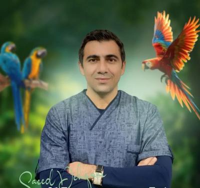 کلینیک  دامپزشکی آرسام (تخصصی پرندگان زینتی ) در اورمیه