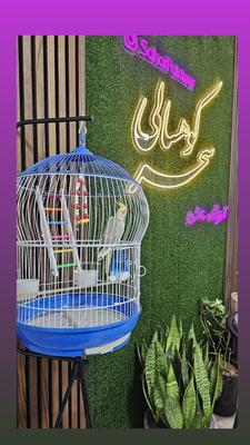 آموزشگاه نقاشی در کاشان