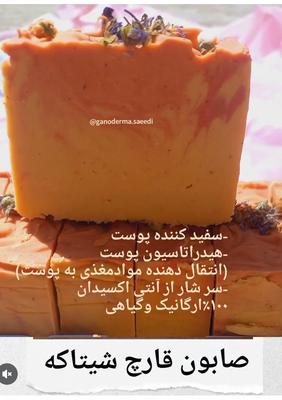 صابون قارچ شیتاکه  سفید کننده پوست در تهران
