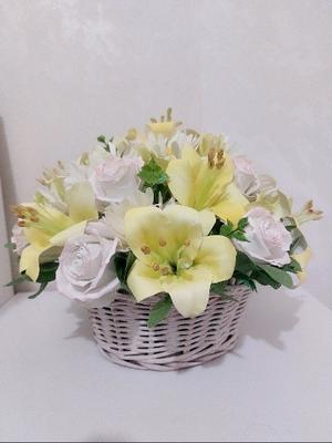 سبدگل در بندر عباس