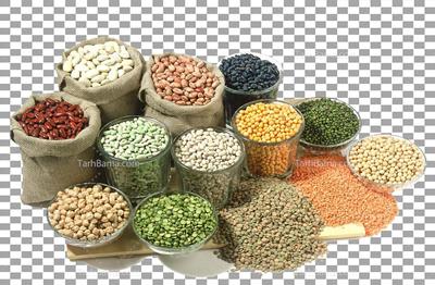 عمده فروشی حبوبات و غلات در بجنورد