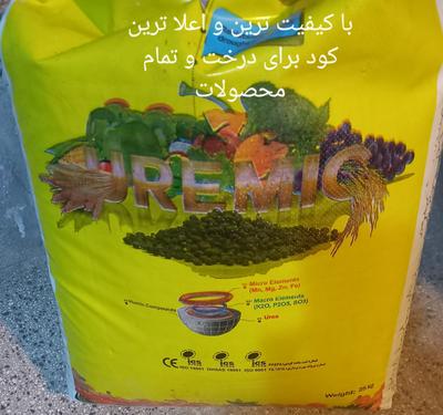 کود اورمیک (کود بی‌نظیر کودکده آذربایجان) در تبریز