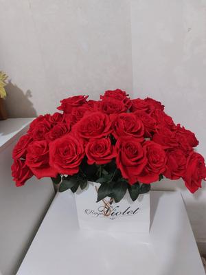 گل رز شاخه ای در بندر عباس