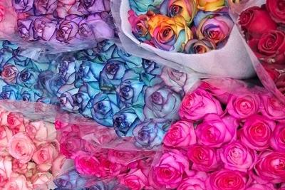 پخش گل شاخه بریده