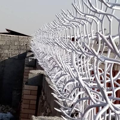 مدل درختی در زنجان