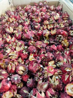 ادویه جات و گیاهان دارویی در شیراز