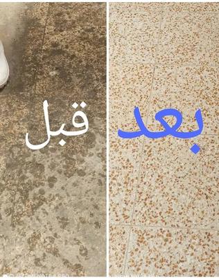 انواع موزاییک در بوشهر
