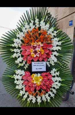 گلستان گل در تهران