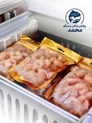 شاه میگو دریایی در شیراز