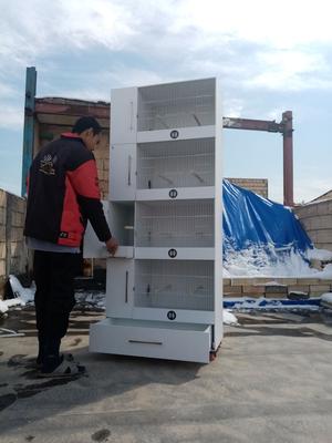 لوازم جانبی حیوانات در مشهد