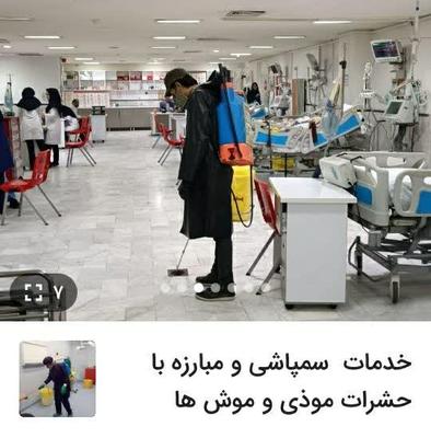 خدمات سمپاشی در زنجان