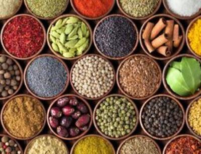 انواع تخم سبزیجات و ادویه جات در رشت