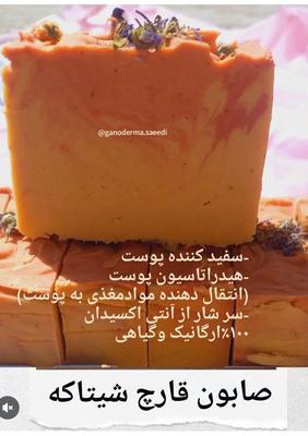 صابون قارچ شیتاکه در تهران