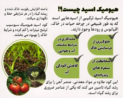 کود مایع هیومیک اسید در گرگان