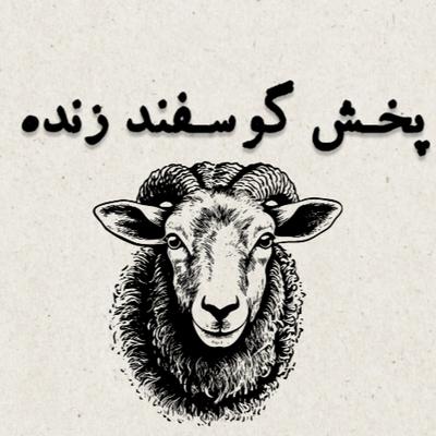 فروش گوسفند زنده همراه با ذبح رایگان در تهران